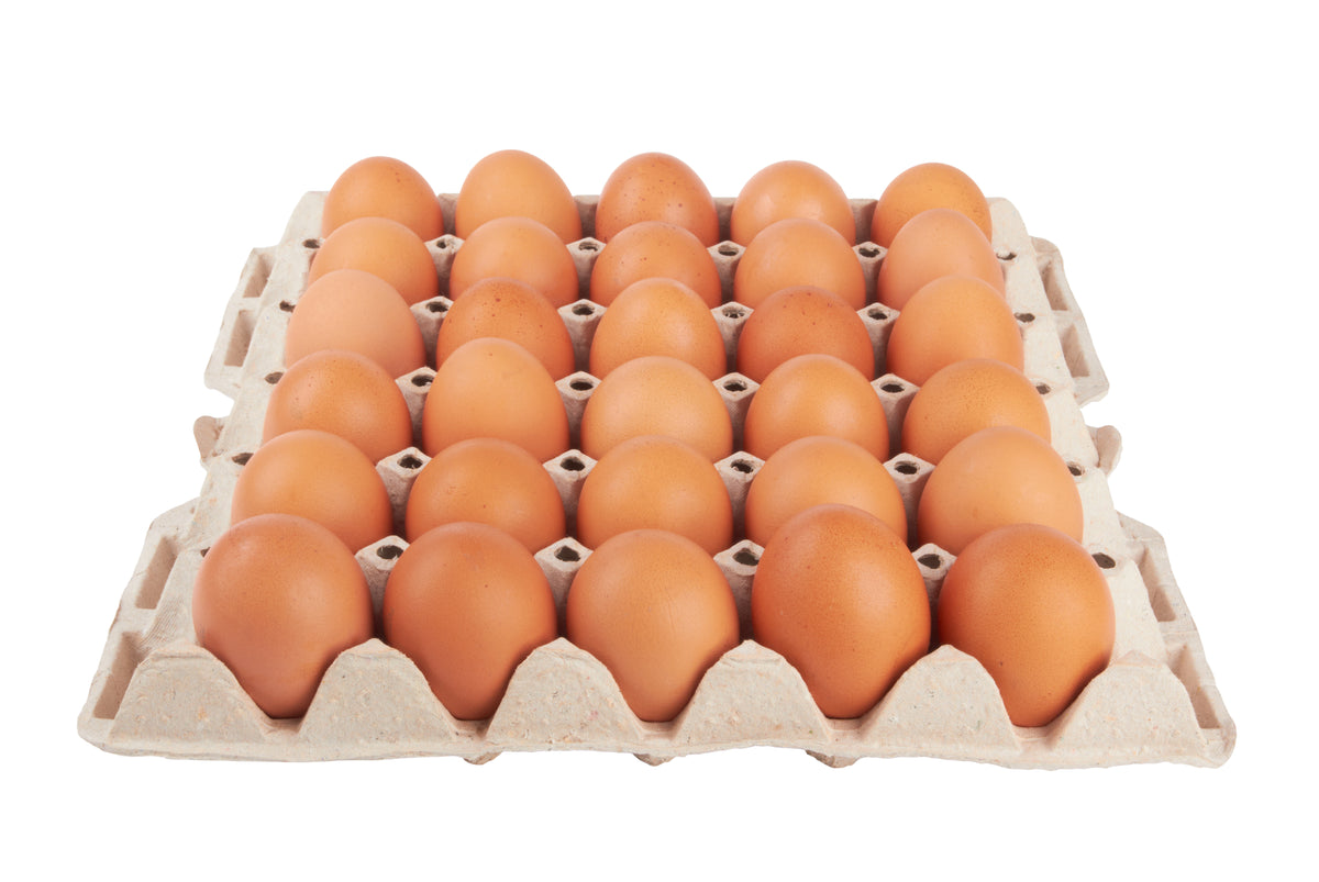 Oeufs Bio 30P