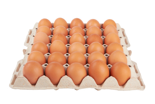 Oeufs Bio 30P